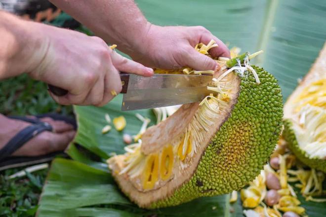 僵尸训练营 推荐视频