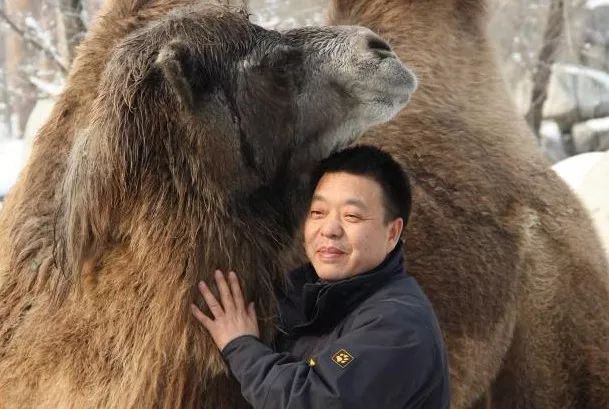 伊丽莎白镇 推荐视频