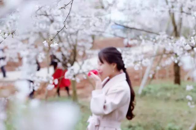 哥斯拉大战金刚2：帝国崛起 普通话版 推荐视频