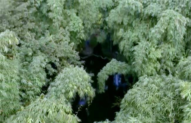 假日惊情 推荐视频