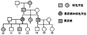 你好，我叫多蕾丝 推荐视频