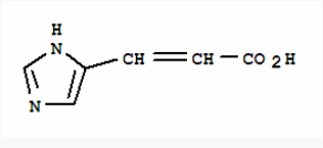 伦敦父女档 产品图片
