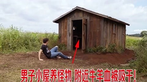 不知不觉爱上你