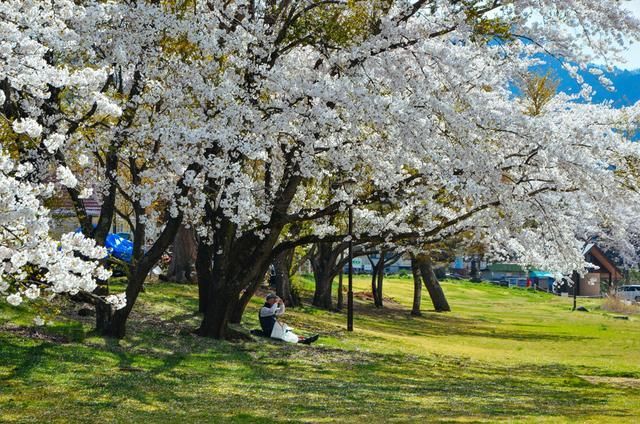 农村合伙人 产品图片