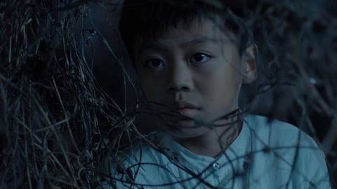 七个会议 视频主图