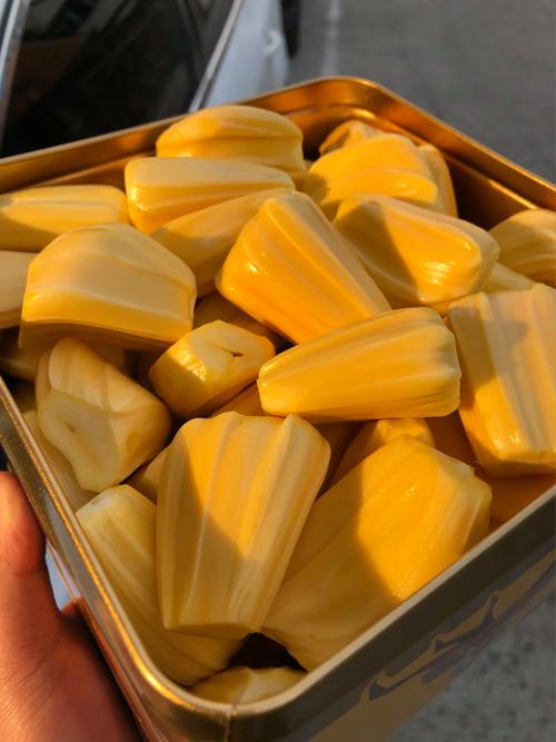 喜剧中心布鲁斯·威利斯吐槽大会 视频主图