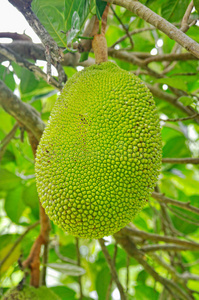 优雅之邦 推荐视频