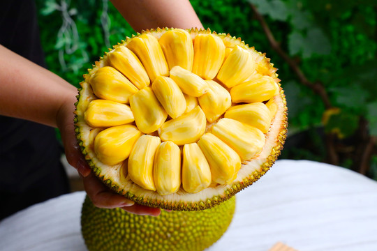 复仇杀神 推荐视频