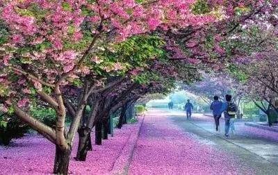 呖咕呖咕新年财 推荐视频