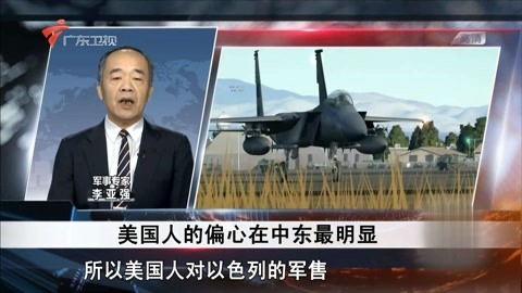 一条狗的使命2（原声版） 视频主图