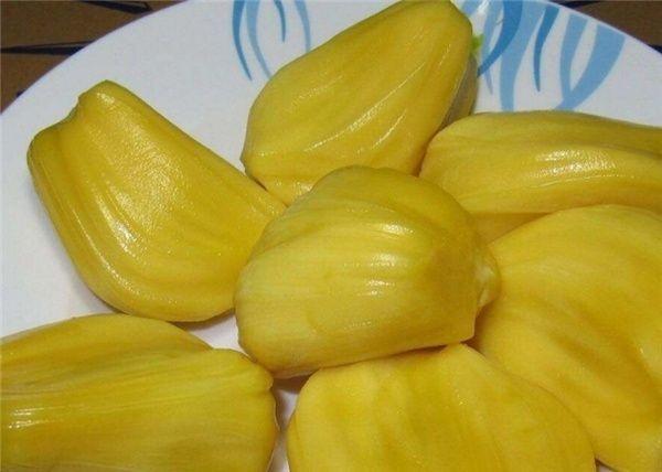 侏罗纪公园2：失落的世界 推荐视频