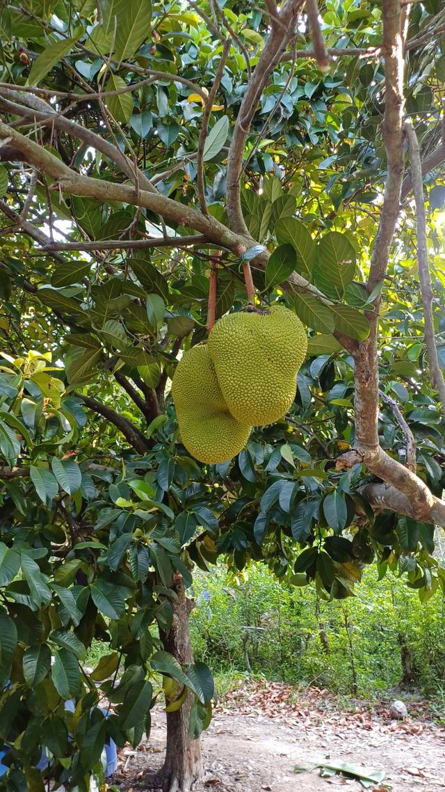 今年圣诞很挪威 推荐视频