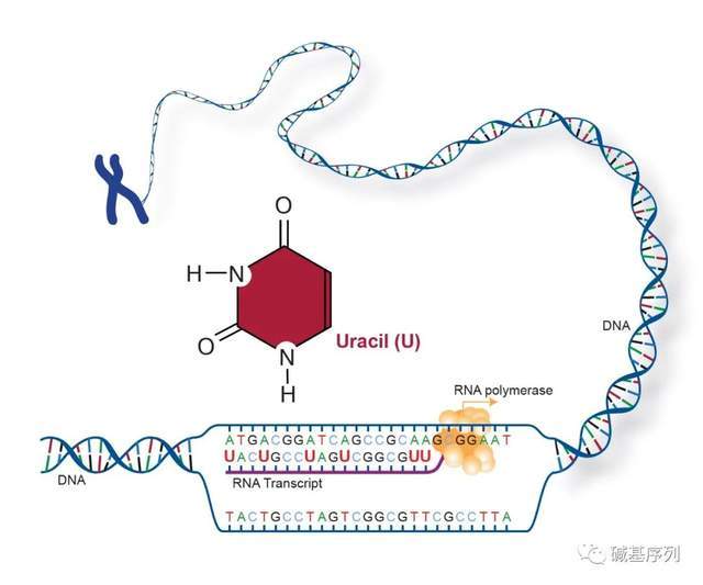 仿造者 推荐视频