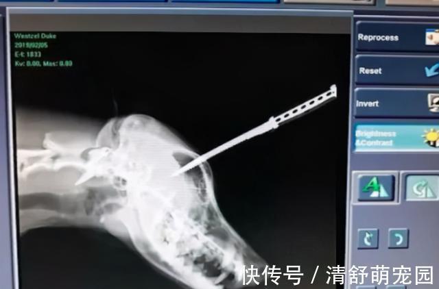 地球之夜 推荐视频