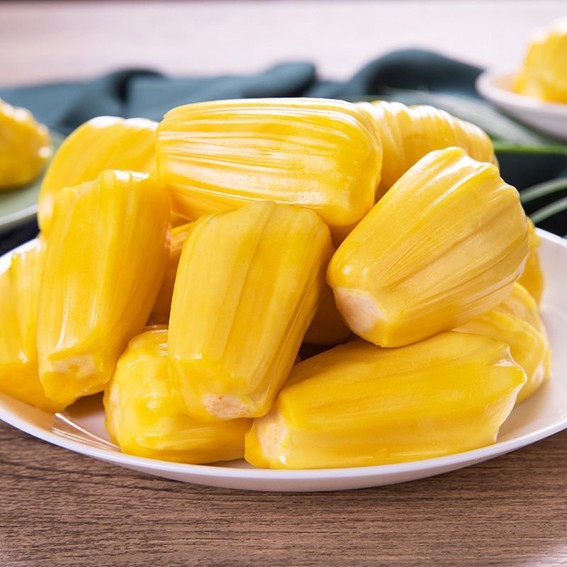 伊娜：初生之犊 推荐视频