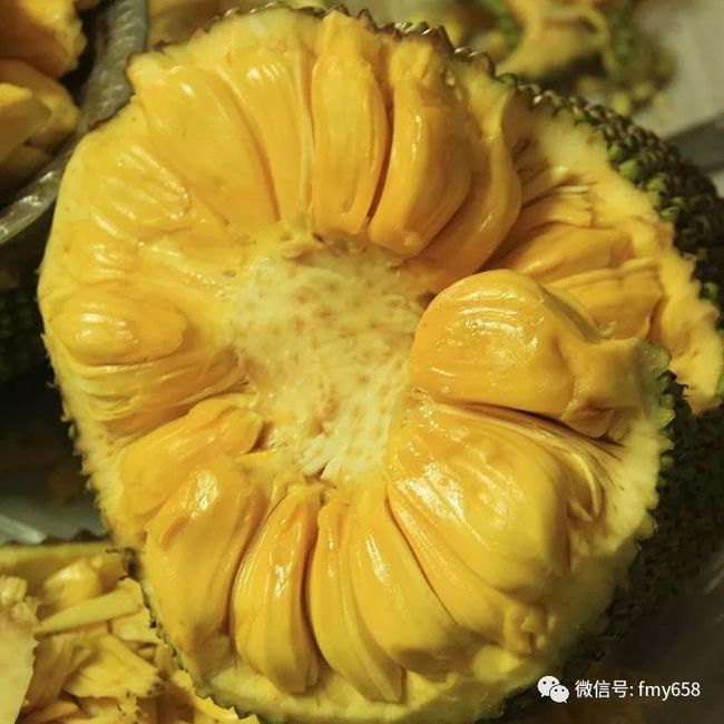 仿造者 推荐视频