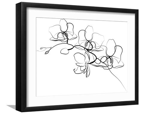 佩德罗·巴拉莫 推荐视频