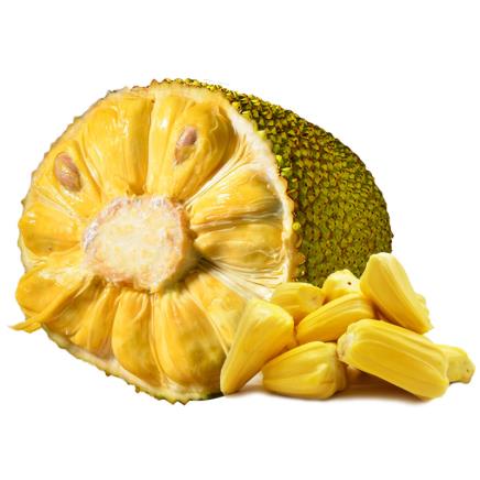 再造战士2：反攻时刻 产品图片