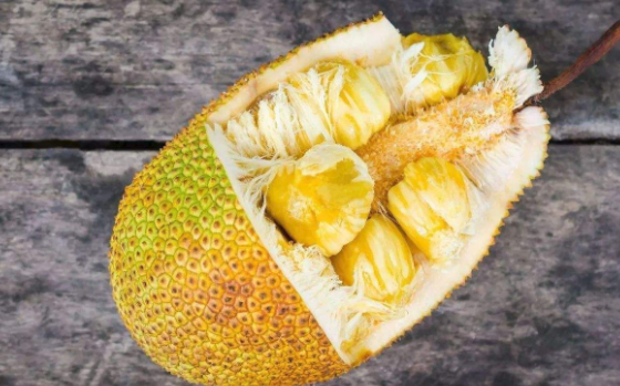 何日君再来 推荐视频