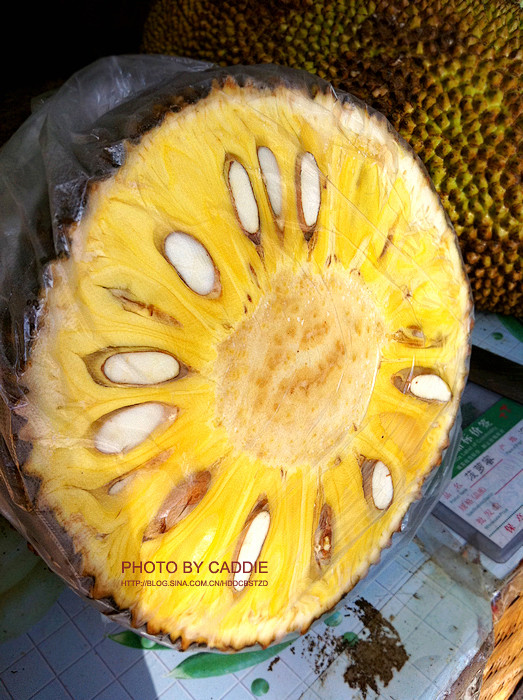 假死新人生 推荐视频