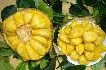 今夜，就算这份爱恋从世界上消失 推荐视频