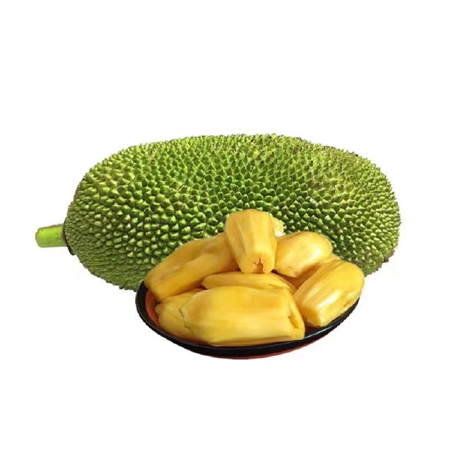 偷破天际线 推荐视频