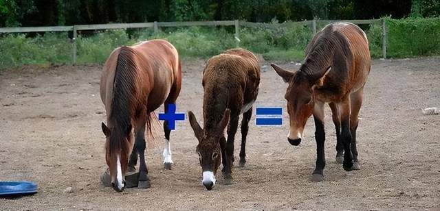 仕掛人・藤枝梅安 推荐视频