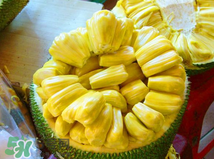 仿造者 推荐视频