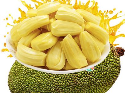 你好，我叫多蕾丝 推荐视频