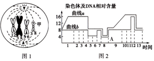 体育皇后1961 推荐视频