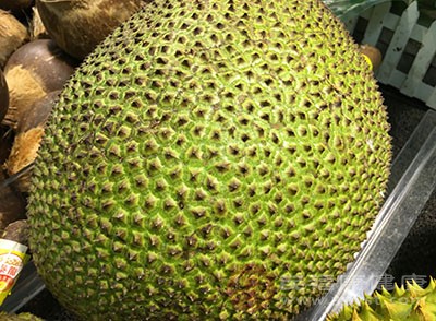 以革命的名义 推荐视频