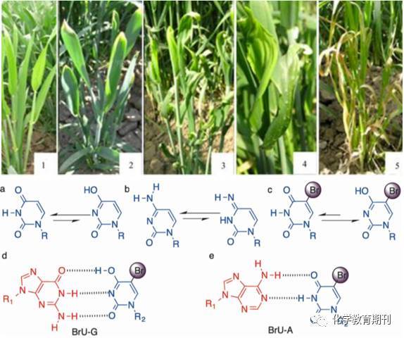 传奇之门 推荐视频