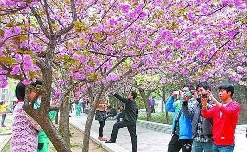 体外实验 推荐视频