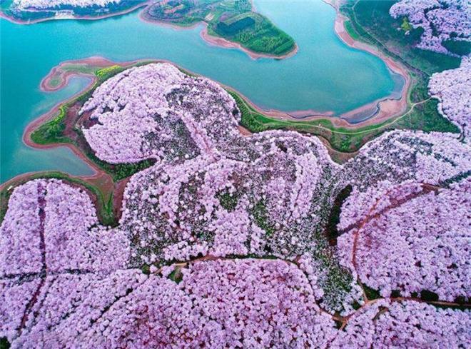 仙境之桥 产品图片