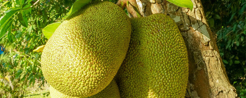 你好，13岁 推荐视频