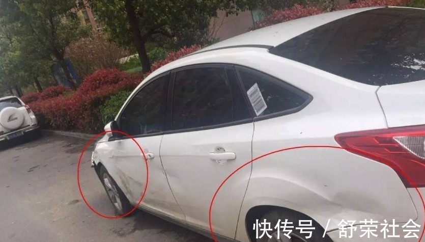 变种动物园 推荐视频