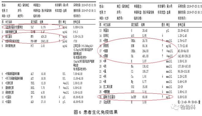 从伦敦到布莱顿 推荐视频