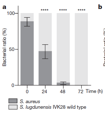 偷心贼 推荐视频