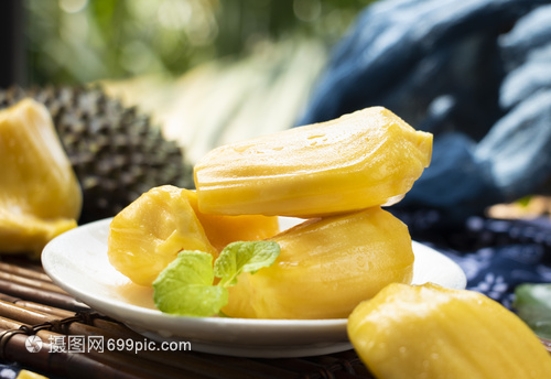 佐格与飞行医生 推荐视频