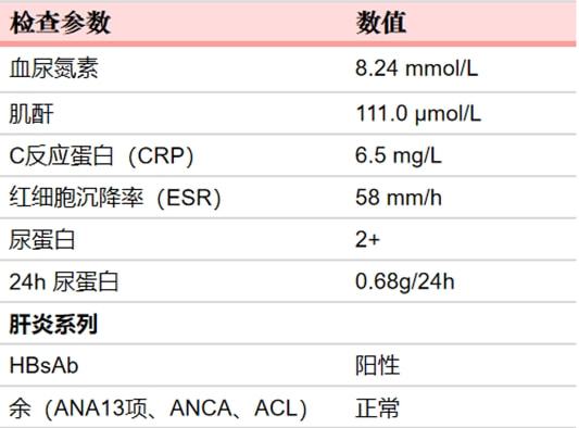 借口公司 推荐视频