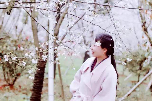 冰临险境 推荐视频