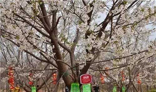 假如爱有天意 推荐视频