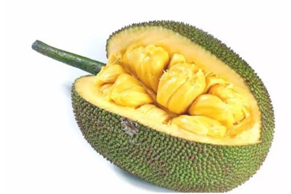 冰雪大作战2(国语版)