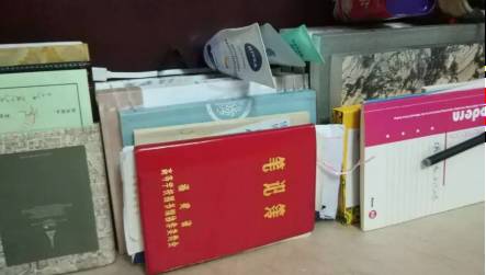 伊莉莎与玛瑟拉 推荐视频