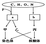 传染病 产品图片
