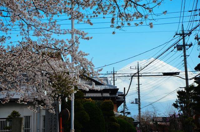 夜叉之无间有情 推荐视频