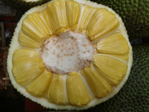 伊斯基亚的卡西诺 推荐视频