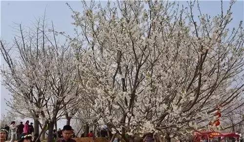 伦敦陷落（原声版） 产品图片