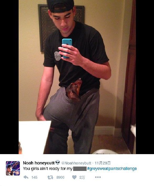 你好布拉德 推荐视频