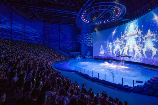 传奇之门 视频封面